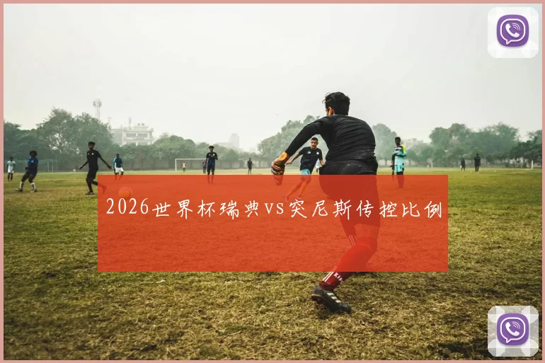 2026世界杯瑞典vs突尼斯传控比例
